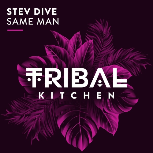 Stev Dive - Same Man [TK205]